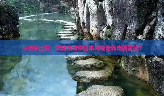 从清徐出发，去北京动物园来场说走就走的冒险？