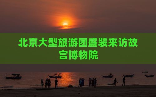 北京大型旅游团盛装来访故宫博物院