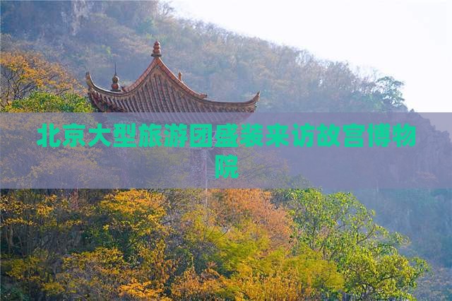 北京大型旅游团盛装来访故宫博物院