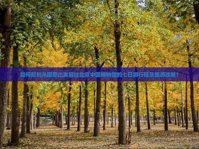 如何规划从固原出发前往北京中国博物馆的七日游行程及旅游攻略？