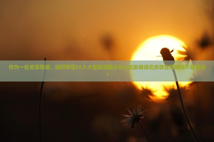 作为一名资深导游，如何带领20人大型旅游团从黄山出发畅游北京故宫博物院不留遗憾？