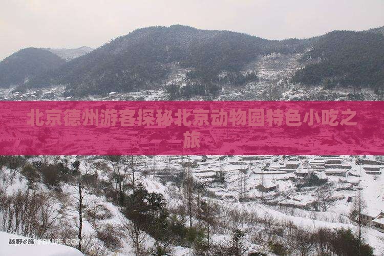 北京德州游客探秘北京动物园特色小吃之旅