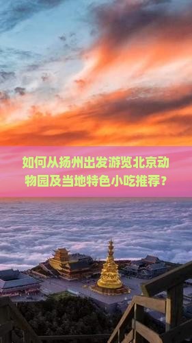 如何从扬州出发游览北京动物园及当地特色小吃推荐？