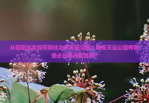 从信阳出发如何前往北京天坛公园？游览天坛公园有哪些必玩景点和攻略？
