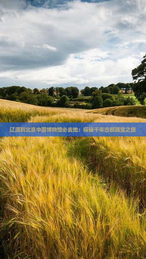 辽源到北京中国博物馆必去地：探秘千年古都瑰宝之旅