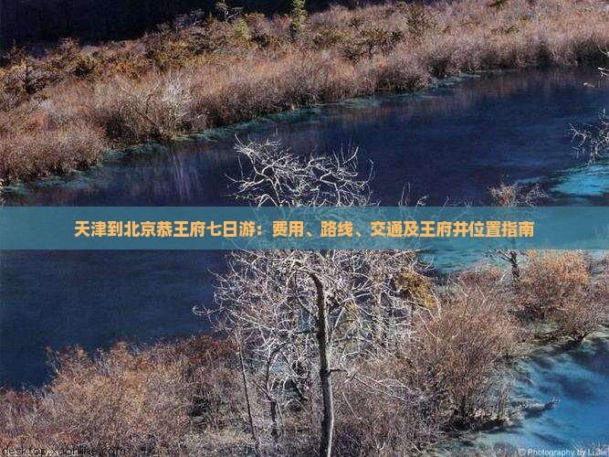 天津到北京恭王府七日游：费用、路线、交通及王府井位置指南