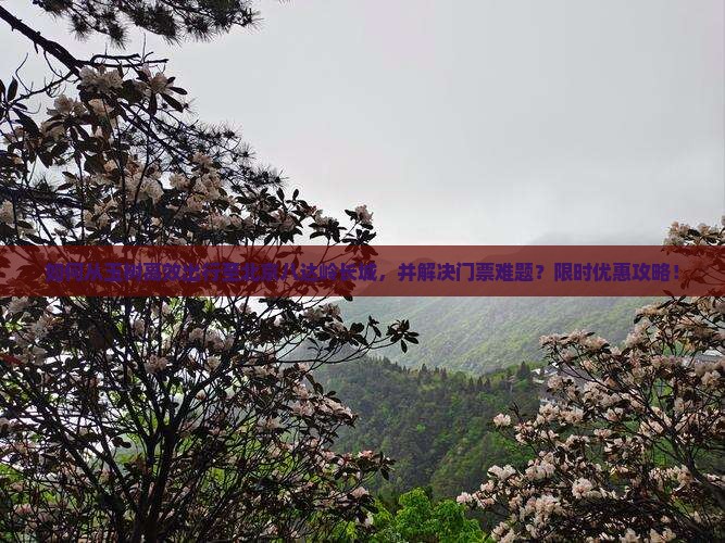 如何从玉树高效出行至北京八达岭长城，并解决门票难题？限时优惠攻略！