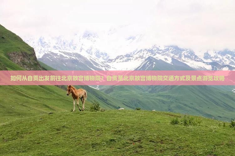 如何从自贡出发前往北京故宫博物院？自贡至北京故宫博物院交通方式及景点游览攻略