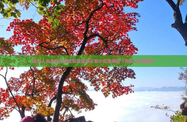 柳州去北京环球度假区旅游小吃