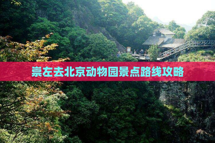 崇左去北京动物园景点