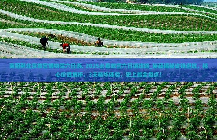 南阳到北京故宫博物院六日游