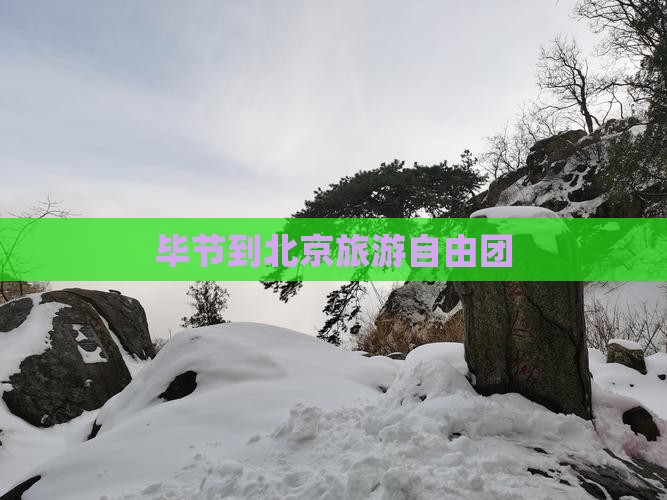 毕节到北京自由团