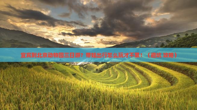宜宾到北京动物园三日游