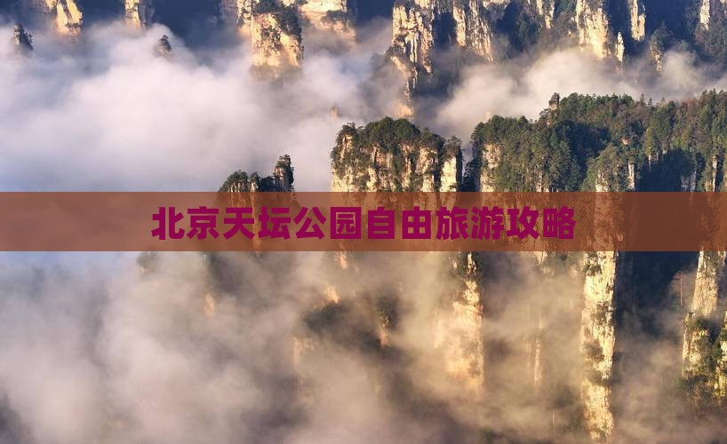 四月到北京天坛公园自由团