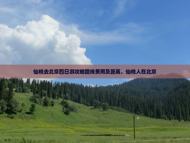 仙桃去北京四日游