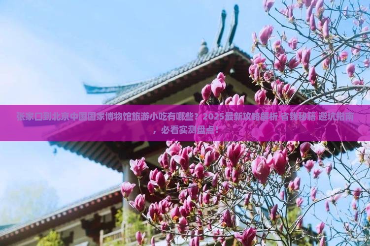 张家口到北京中国国家博物馆旅游小吃