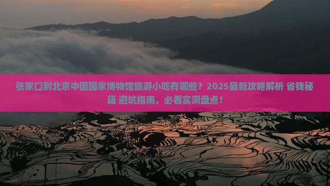 张家口到北京中国国家博物馆旅游小吃