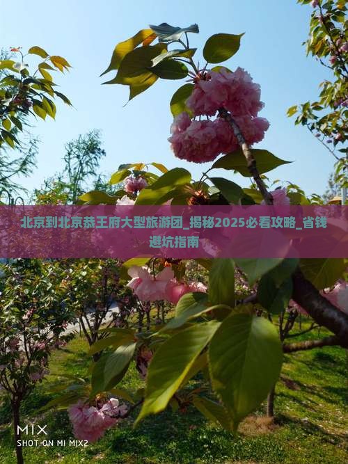 北京到北京恭王府大型旅游团