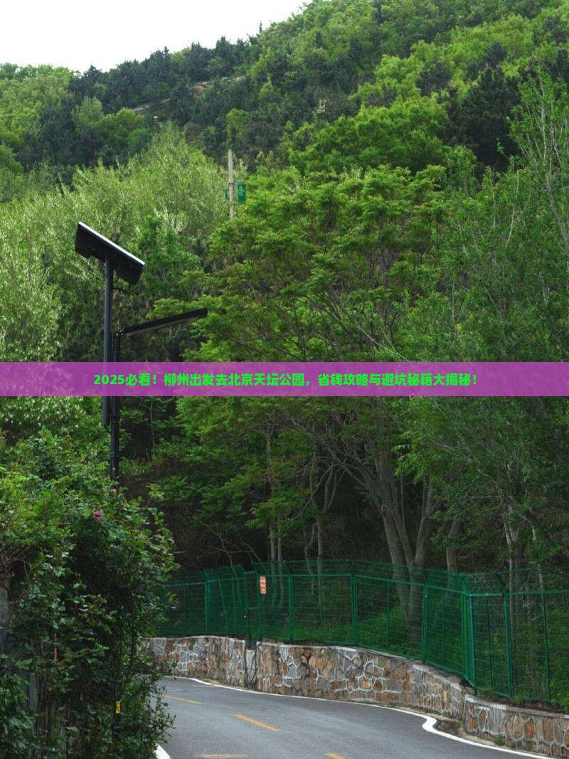 柳州到北京天坛公园旅行社