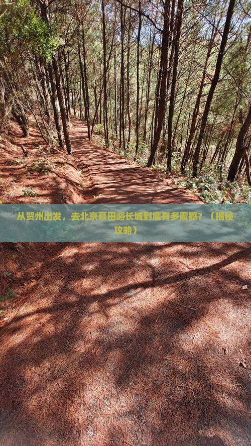 贺州到北京慕田峪长城旅游