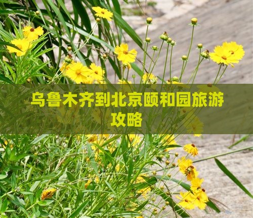 乌鲁木齐到北京颐和园旅游