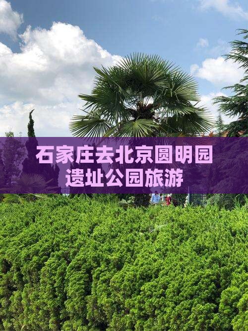 石家庄去北京圆明园遗址公园旅游