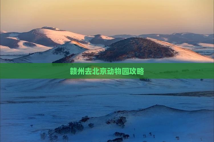 赣州去北京动物园攻略
