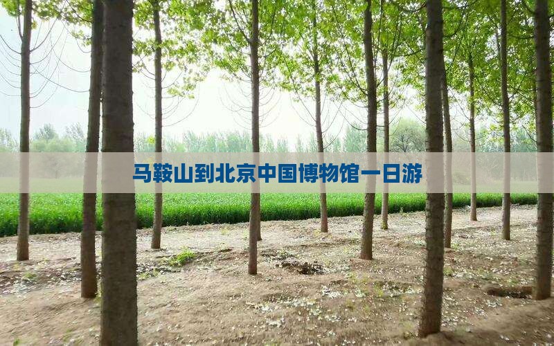 马鞍山到北京中国国家博物馆一日游