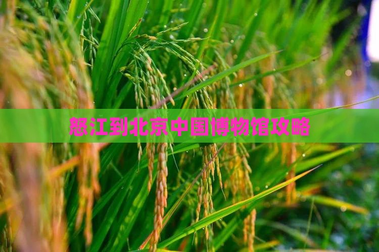 怒江到北京中国国家博物馆攻略