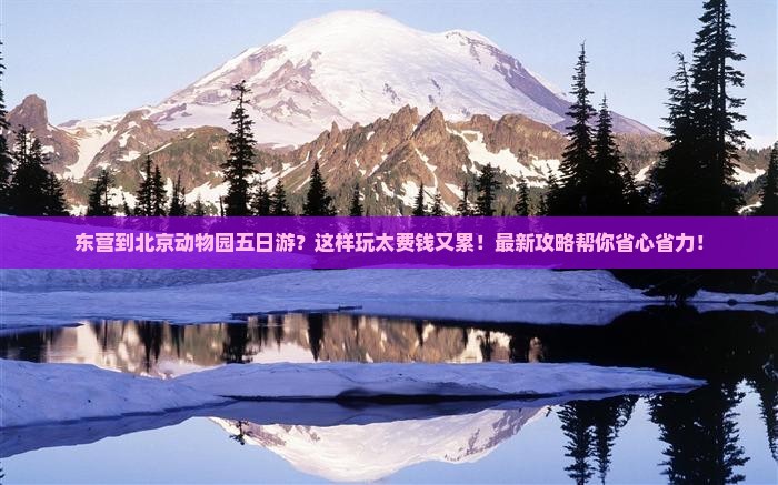 东营到北京动物园五日游