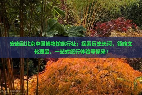 安康到北京中国国家博物馆旅行社