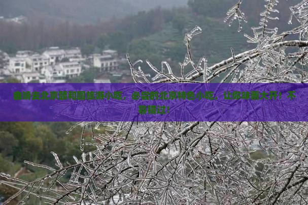 曲靖去北京颐和园旅游小吃