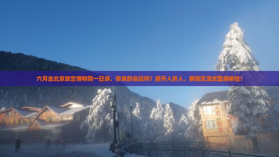 六月去北京故宫博物院一日游