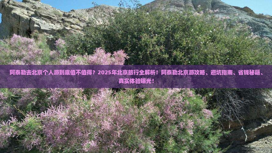 阿泰勒去北京个人游