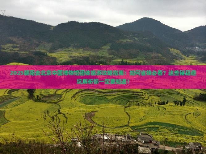 朝阳去北京中国国家博物馆团体旅游