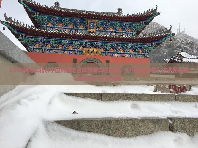 朝阳去北京中国国家博物馆团体旅游