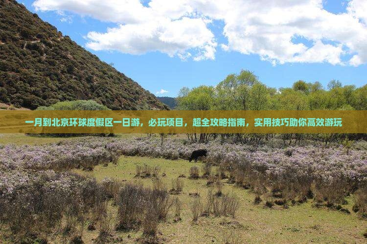 一月到北京环球度假区一日游