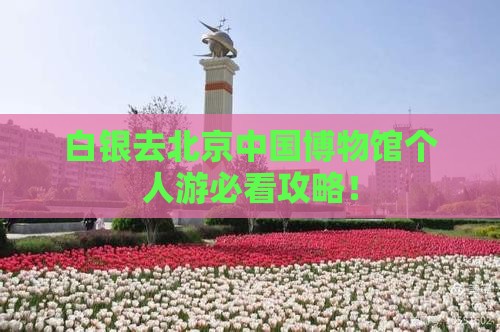 白银去北京中国国家博物馆个人游