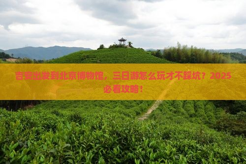 吉安到北京中国国家博物馆三日游