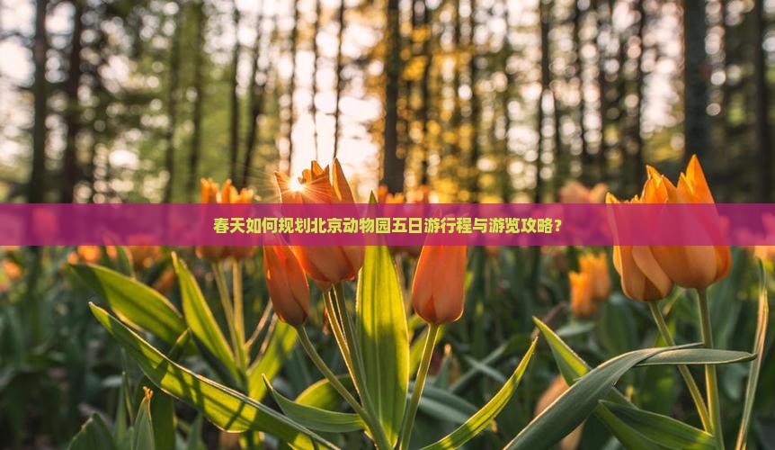 春天如何规划北京动物园五日游行程与游览攻略？
