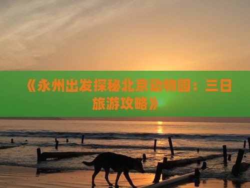 《永州出发探秘北京动物园：三日旅游攻略》