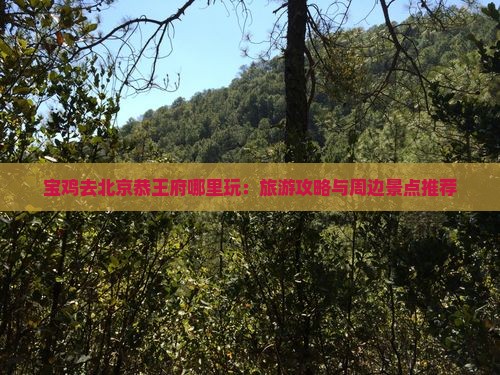 宝鸡去北京恭王府哪里玩：旅游攻略与周边景点推荐