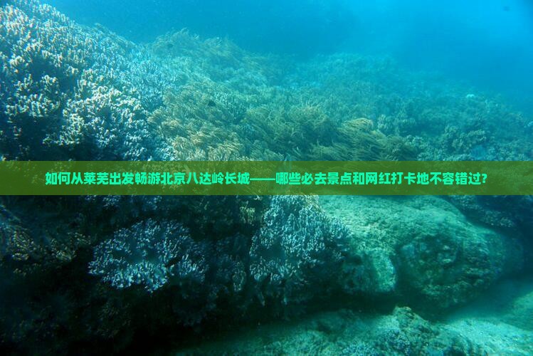 如何从莱芜出发畅游北京八达岭长城——哪些必去景点和网红打卡地不容错过？