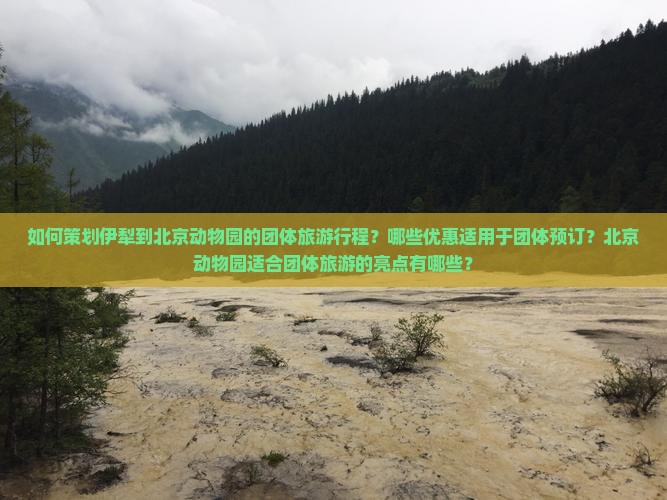 如何策划伊犁到北京动物园的团体旅游行程？哪些优惠适用于团体预订？北京动物园适合团体旅游的亮点有哪些？