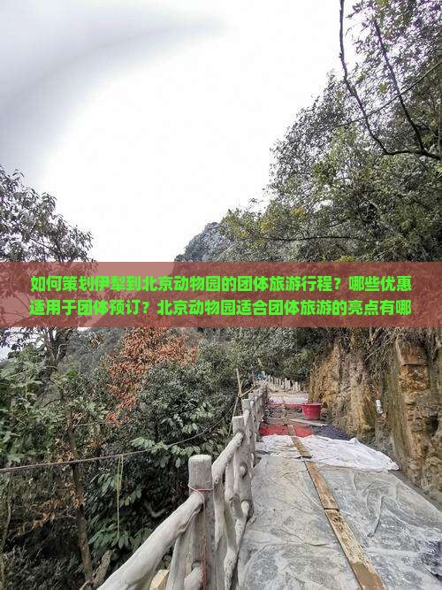如何策划伊犁到北京动物园的团体旅游行程？哪些优惠适用于团体预订？北京动物园适合团体旅游的亮点有哪些？