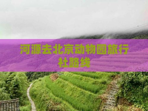 河源去北京动物园旅行社路线