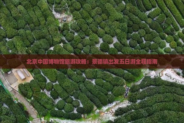北京中国博物馆旅游攻略：景德镇出发五日游全程指南