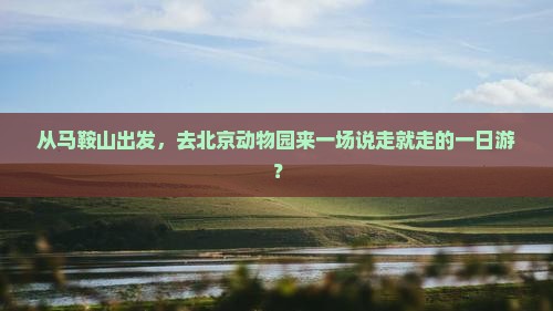 从马鞍山出发，去北京动物园来一场说走就走的一日游？