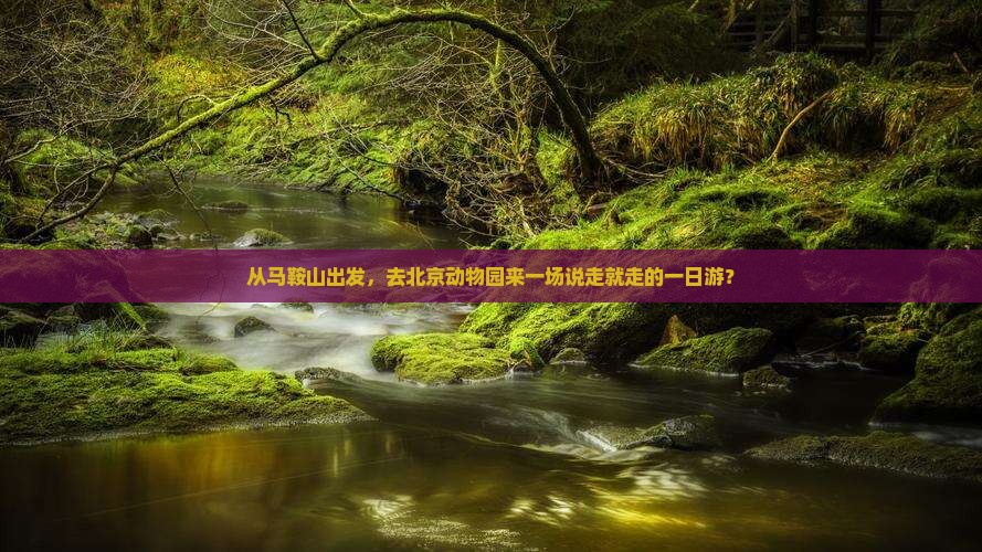 从马鞍山出发，去北京动物园来一场说走就走的一日游？