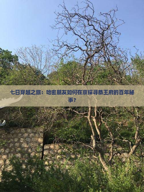 七日穿越之旅：哈密朋友如何在京探寻恭王府的百年秘事？